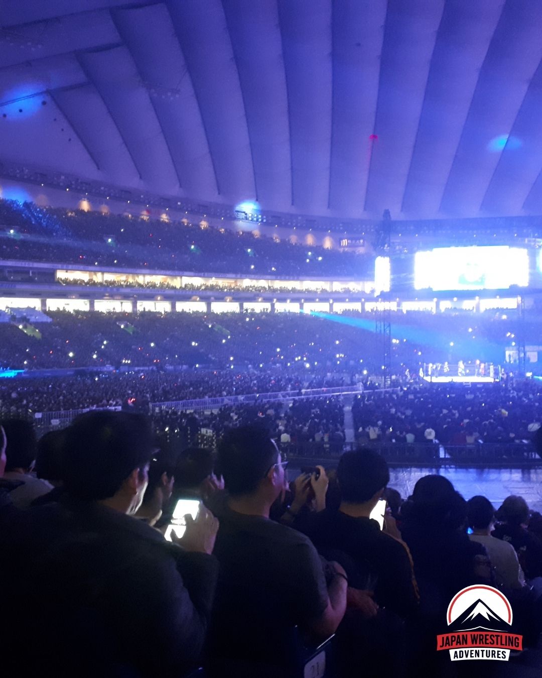Inside the Tokyo Dome during Wrestle Kingdom