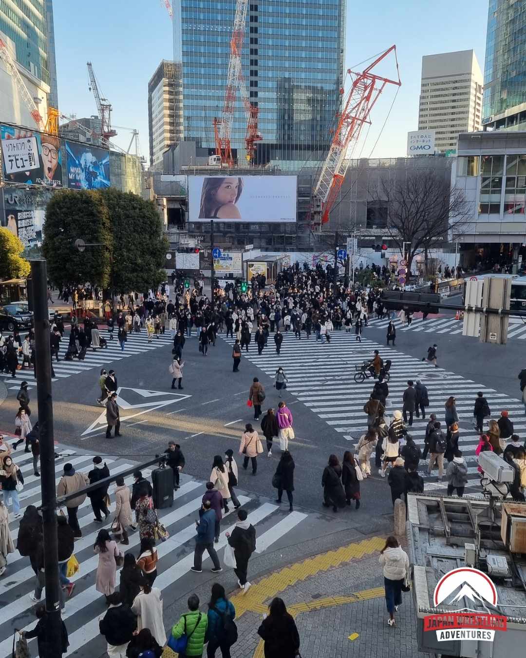 Shibuya Crossing Tokyo